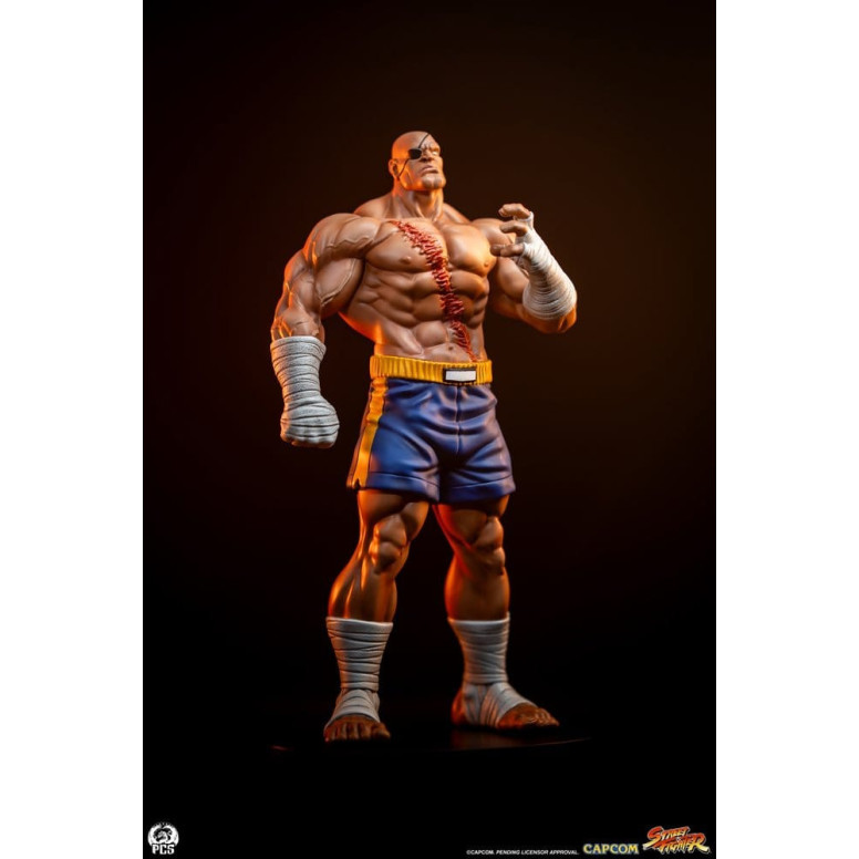 PCS - Street Fighter: Street Jam - Sagat & Juli Juego de estatuas a escala 1:10