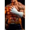 PCS - Street Fighter: Street Jam - Sagat & Juli Juego de estatuas a escala 1:10