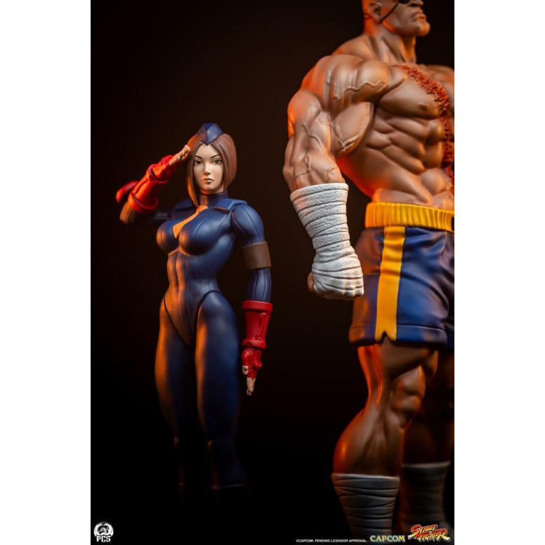 PCS - Street Fighter: Street Jam - Sagat & Juli Juego de estatuas a escala 1:10