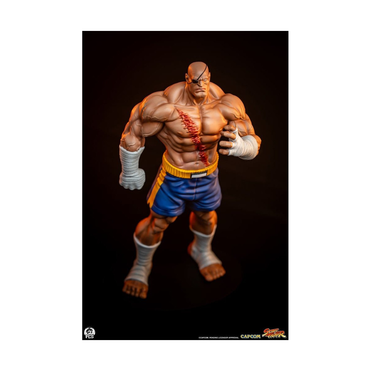PCS - Street Fighter: Street Jam - Sagat & Juli Juego de estatuas a escala 1:10