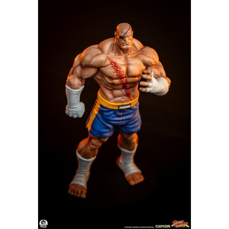 PCS - Street Fighter: Street Jam - Sagat & Juli Juego de estatuas a escala 1:10
