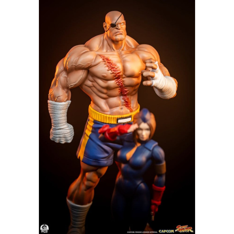 PCS - Street Fighter: Street Jam - Sagat & Juli Juego de estatuas a escala 1:10