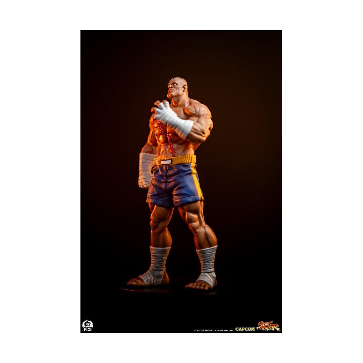 PCS - Street Fighter: Street Jam - Sagat & Juli Juego de estatuas a escala 1:10