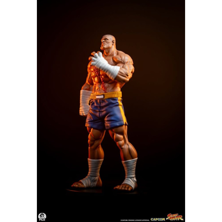 PCS - Street Fighter: Street Jam - Sagat & Juli Juego de estatuas a escala 1:10