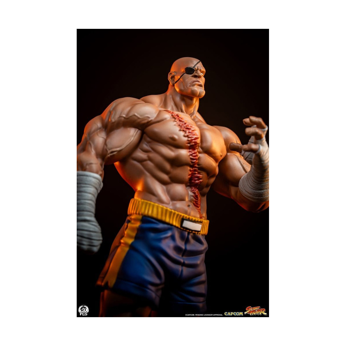 PCS - Street Fighter: Street Jam - Sagat & Juli Juego de estatuas a escala 1:10