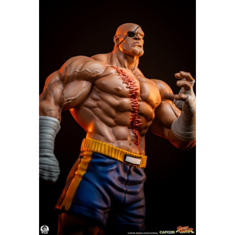 PCS - Street Fighter: Street Jam - Sagat & Juli Juego de estatuas a escala 1:10