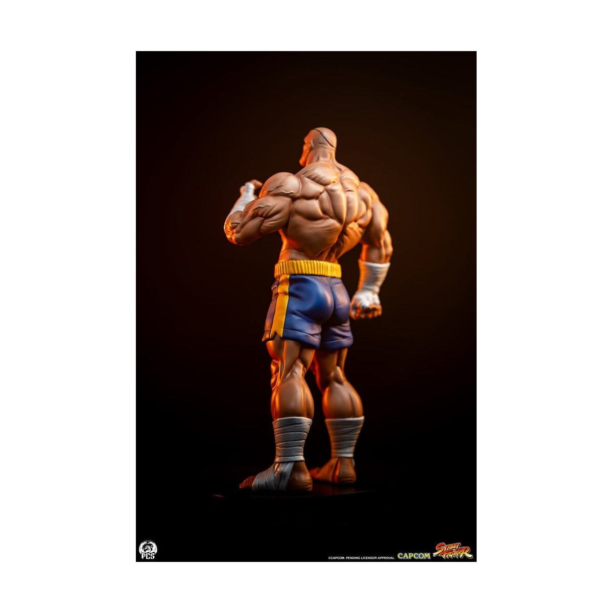 PCS - Street Fighter: Street Jam - Sagat & Juli Juego de estatuas a escala 1:10