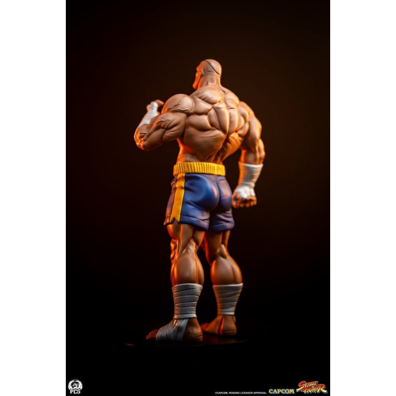PCS - Street Fighter: Street Jam - Sagat & Juli Juego de estatuas a escala 1:10