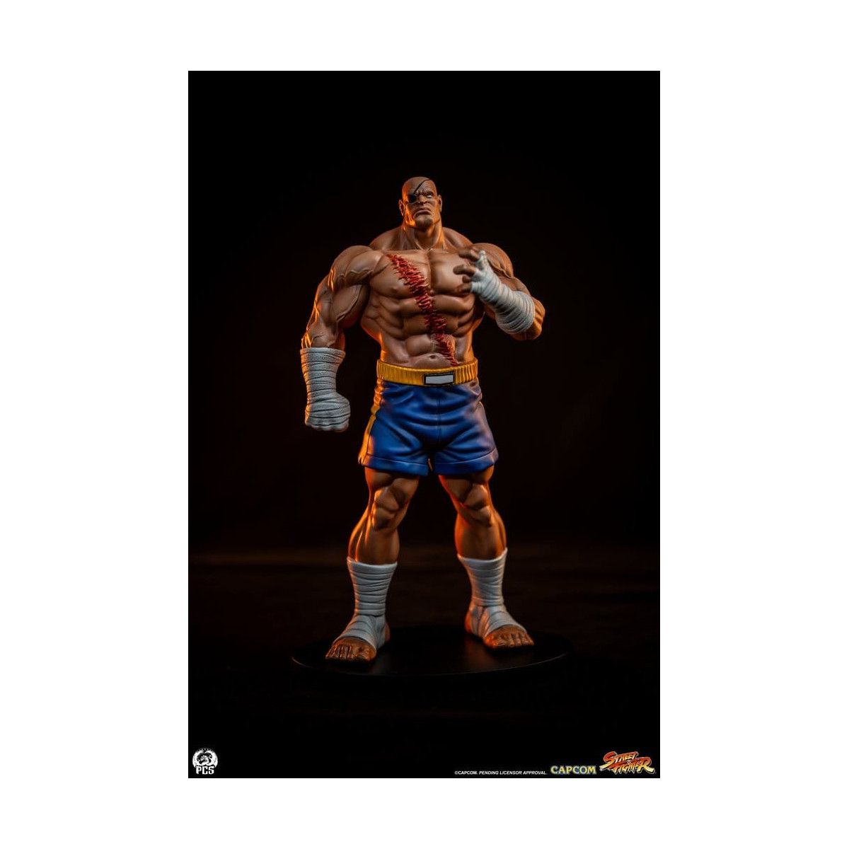 PCS - Street Fighter: Street Jam - Sagat & Juli Juego de estatuas a escala 1:10