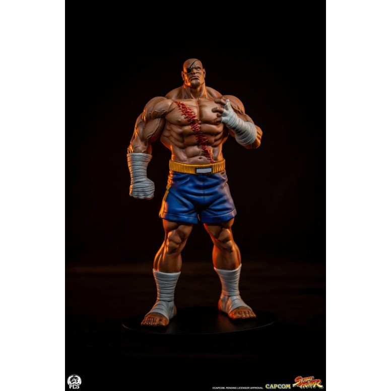 PCS - Street Fighter: Street Jam - Sagat & Juli Juego de estatuas a escala 1:10