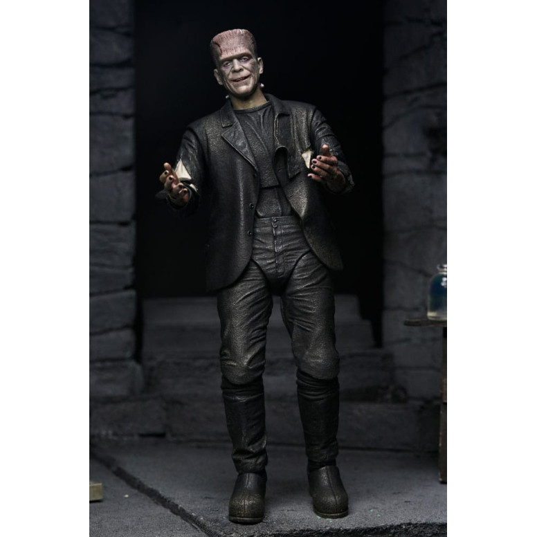 NECA Universal Monsters - 2 pack La Novia de Frankenstein 90 Aniversario El Monstruo y su Pareja