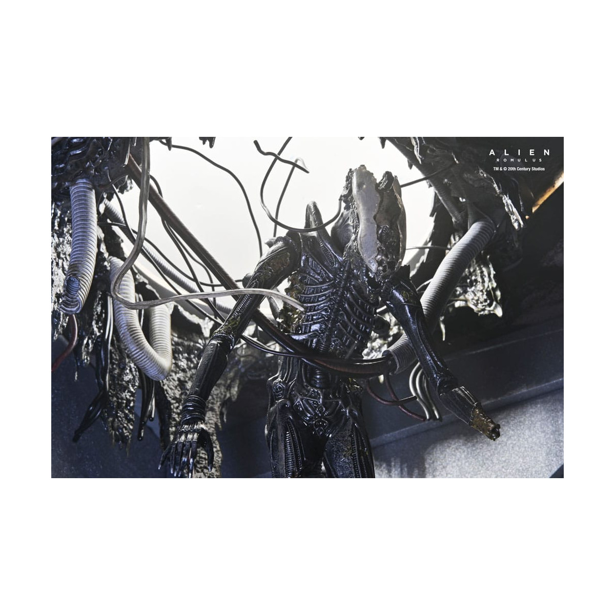 Neca - Alien: Romulus - Deluxe Suspendido Laboratorio Xenomorfo XX121