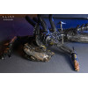 Neca - Alien: Romulus - Deluxe Suspendido Laboratorio Xenomorfo XX121