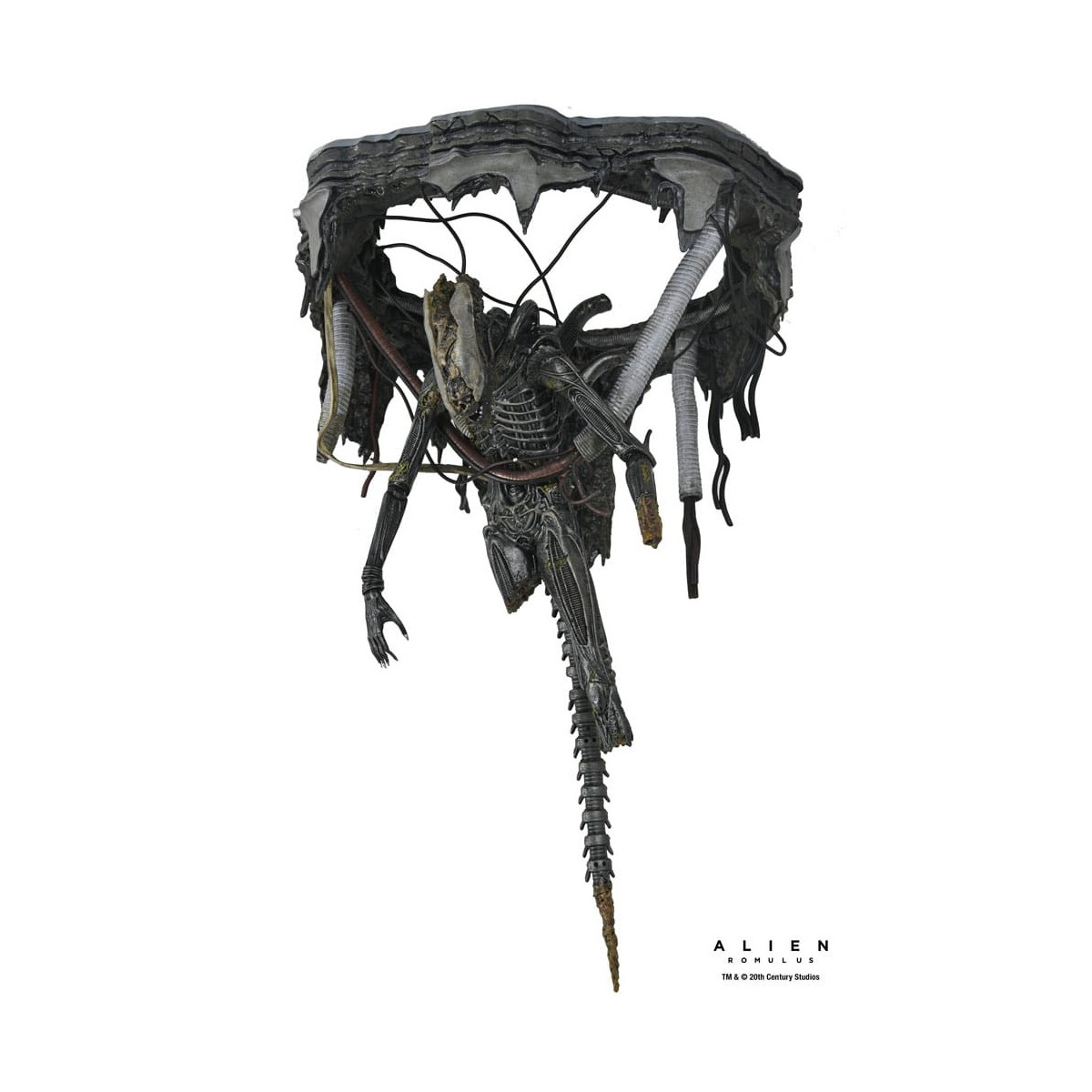 Neca - Alien: Romulus - Deluxe Suspendido Laboratorio Xenomorfo XX121