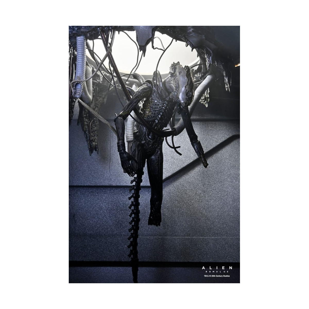 Neca - Alien: Romulus - Deluxe Suspendido Laboratorio Xenomorfo XX121