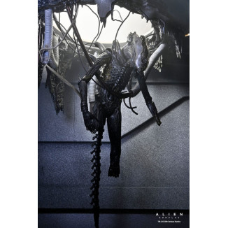 Neca - Alien: Romulus - Deluxe Suspendido Laboratorio Xenomorfo XX121