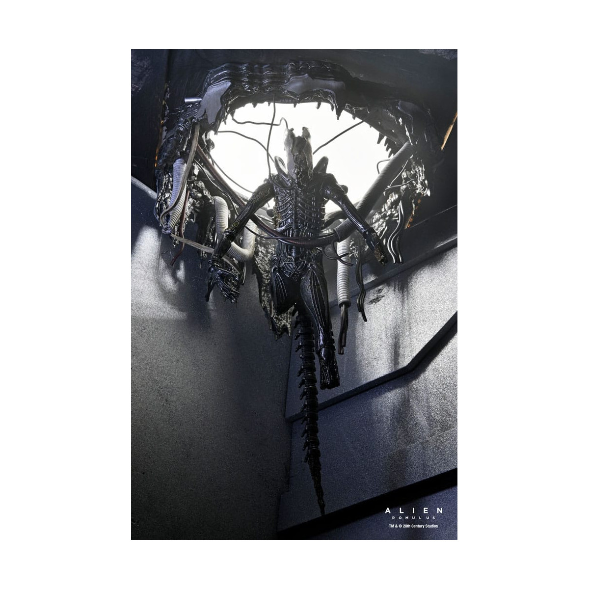 Neca - Alien: Romulus - Deluxe Suspendido Laboratorio Xenomorfo XX121