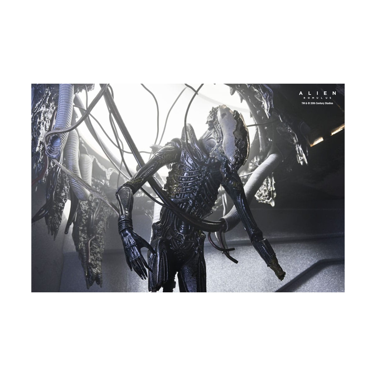 Neca - Alien: Romulus - Deluxe Suspendido Laboratorio Xenomorfo XX121