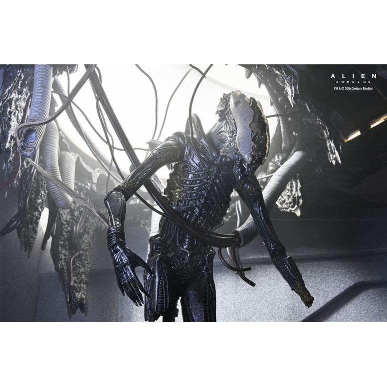 Neca - Alien: Romulus - Deluxe Suspendido Laboratorio Xenomorfo XX121