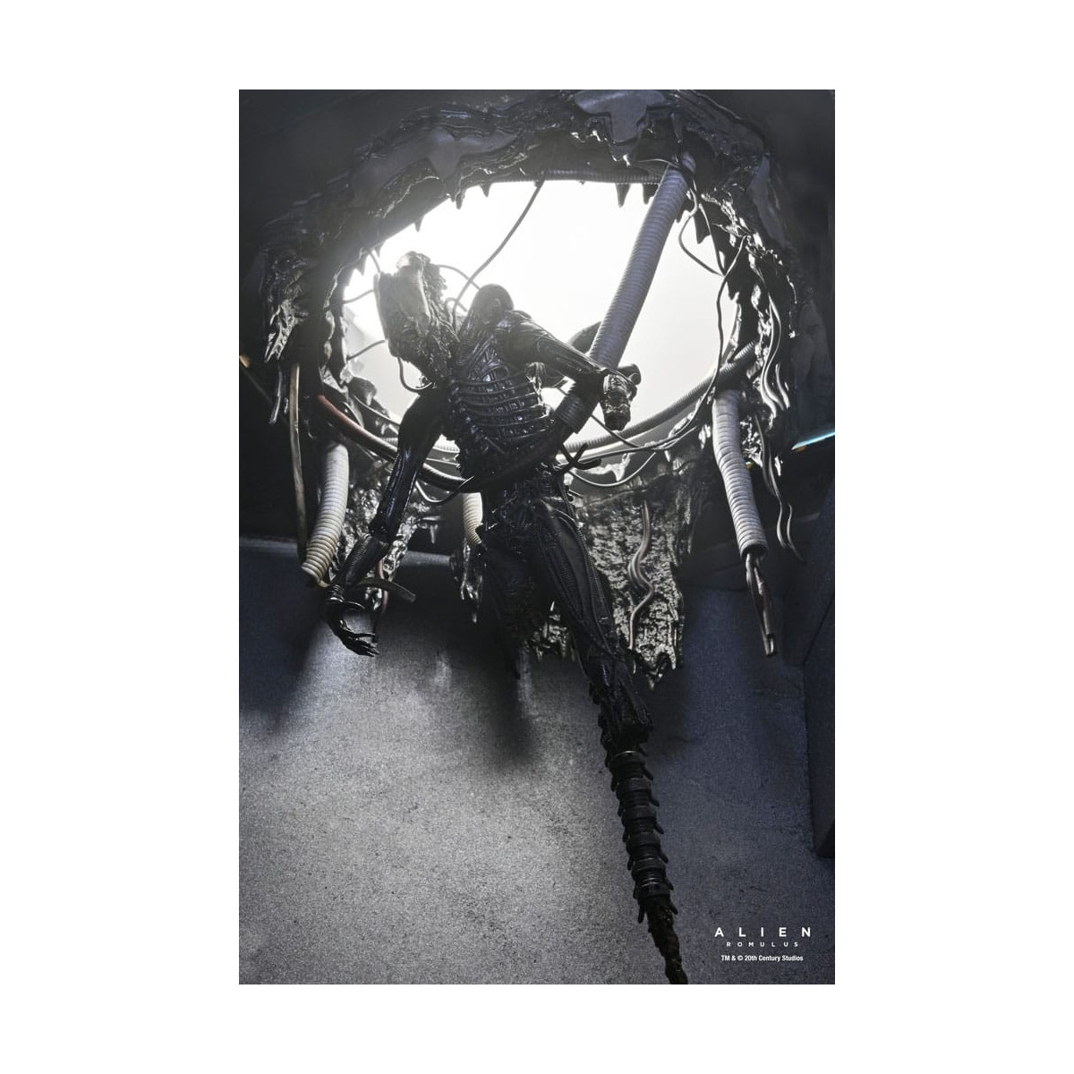 Neca - Alien: Romulus - Deluxe Suspendido Laboratorio Xenomorfo XX121