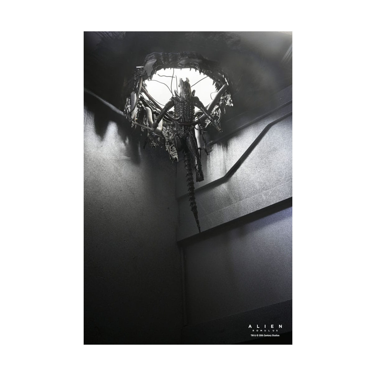 Neca - Alien: Romulus - Deluxe Suspendido Laboratorio Xenomorfo XX121
