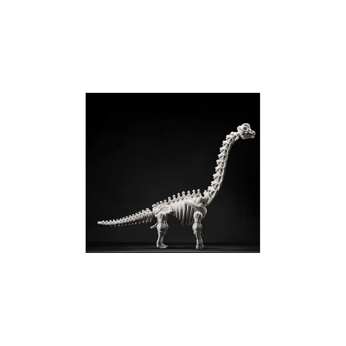 Blokees Jurassic World Terraventure TS 02 - Operación de captura de dinosaurios