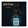Paladone Llavero luminoso temático de Harry Potter