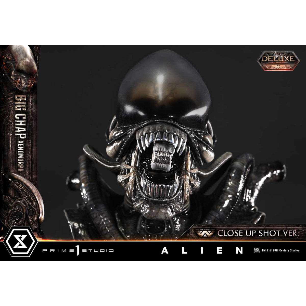 Prime 1 Studio - Big Chap Xenomorph Close Up Shot Ver. DX Bonus Version - Alien (1979) Museum Masterline XL 1/3