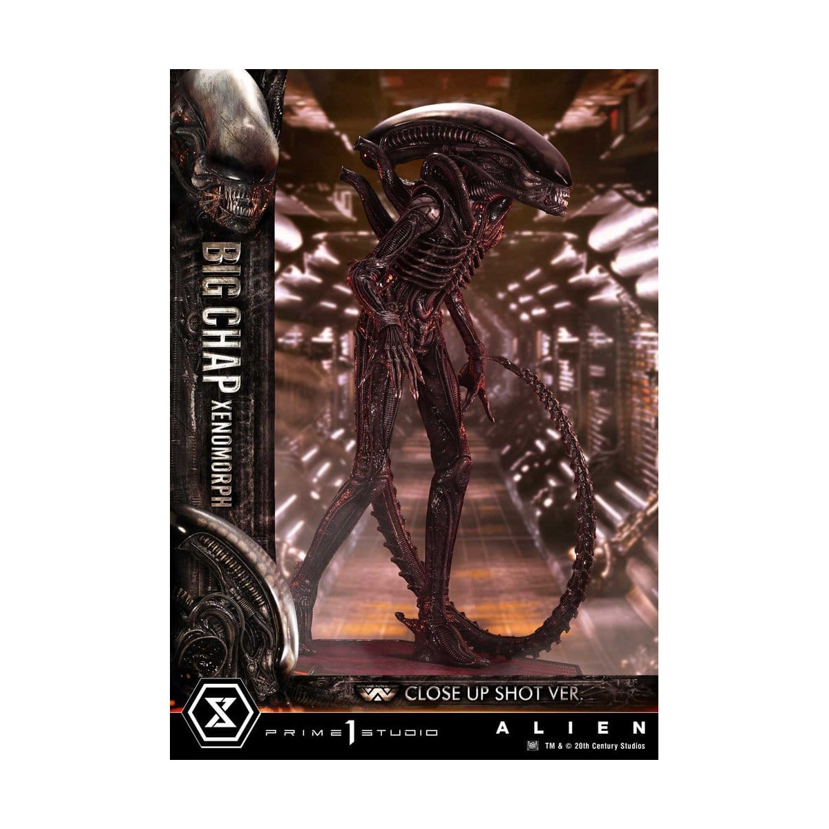 Prime 1 Studio - Big Chap Xenomorfo Primer Plano Ver.  - Alien (1979) Museo Masterline XL 1/3