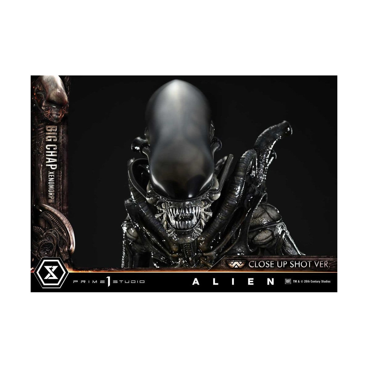 Prime 1 Studio - Big Chap Xenomorfo Primer Plano Ver.  - Alien (1979) Museo Masterline XL 1/3