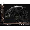 Prime 1 Studio - Big Chap Xenomorfo Primer Plano Ver.  - Alien (1979) Museo Masterline XL 1/3