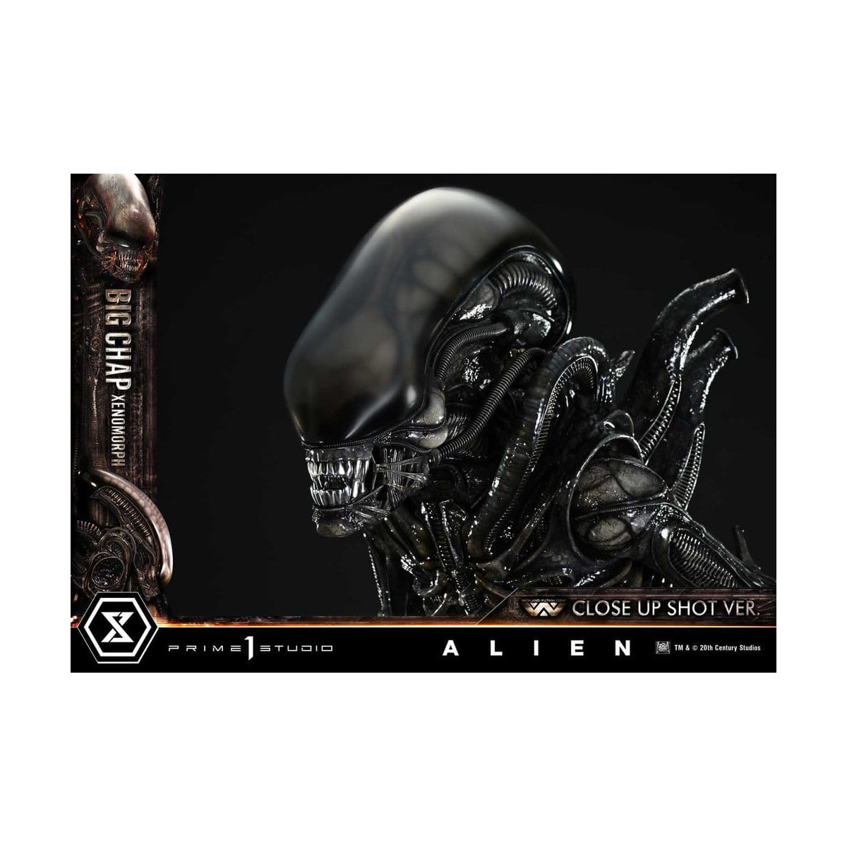 Prime 1 Studio - Big Chap Xenomorfo Primer Plano Ver.  - Alien (1979) Museo Masterline XL 1/3