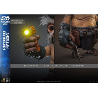Hot toys Star Wars - Anzellan Droidsmith Serie de obras maestras a tamaño real - Star Wars: The Mandalorian & Grogu