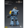 JoyToy - Space Marines II - Space Wolves - Intercesor Pesado con Rifle de Cerrojo Pesado y Pistola de Cerrojo 1/18