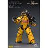 JoyToy - Space Marines II - Imperial Fists - Intercesor Pesado con Rifle de Cerrojo Pesado y Pistola de Cerrojo 1/18