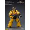 JoyToy - Space Marines II - Imperial Fists - Intercesor Pesado con Rifle de Cerrojo Pesado y Pistola de Cerrojo 1/18