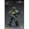 JoyToy - Space Marines II - Dark Angels - Intercesor Pesado con Rifle de Cerrojo Pesado y Pistola de Cerrojo 1/18