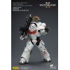 JoyToy - Space Marines II - Cicatrices Blancas - Intercesor Pesado con Rifle de Cerrojo Pesado y Pistola de Cerrojo 1/18
