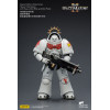 JoyToy - Space Marines II - Cicatrices Blancas - Intercesor Pesado con Rifle de Cerrojo Pesado y Pistola de Cerrojo 1/18