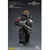 JoyToy - Space Marines II - Guardia del Cuervo - Intercesor Pesado con Rifle de Cerrojo Pesado y Pistola de Cerrojo 1/18