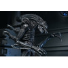 Neca Aliens - Ultimate Xenomorph Warrior - 40 aniversario (1986)