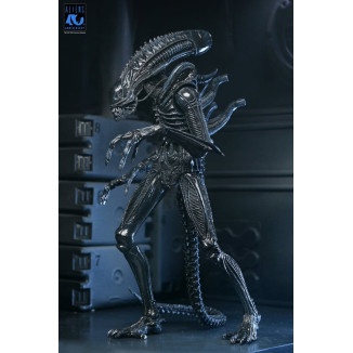 Neca Aliens - Ultimate Xenomorph Warrior - 40 aniversario (1986)