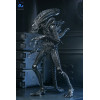 Neca Aliens - Ultimate Xenomorph Warrior - 40 aniversario (1986)