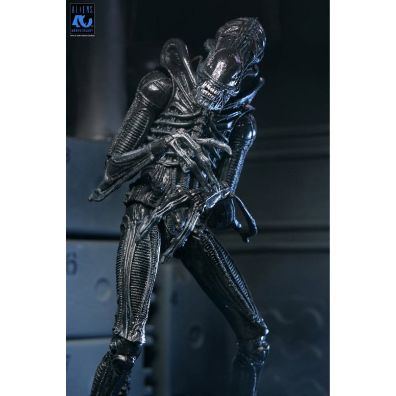 Neca Aliens - Ultimate Xenomorph Warrior - 40 aniversario (1986)