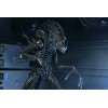 Neca Aliens - Ultimate Xenomorph Warrior - 40 aniversario (1986)