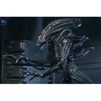 Neca Aliens - Ultimate Xenomorph Warrior - 40 aniversario (1986)