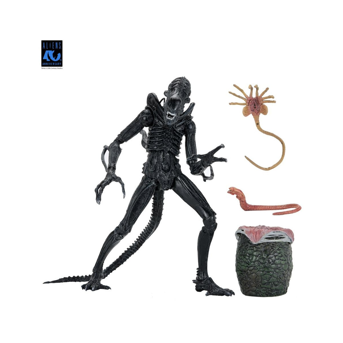 Neca Aliens - Ultimate Xenomorph Warrior - 40 aniversario (1986)