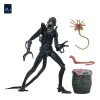 Neca Aliens - Ultimate Xenomorph Warrior - 40 aniversario (1986)