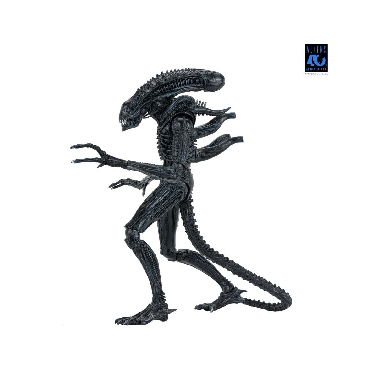 Neca Aliens - Ultimate Xenomorph Warrior - 40 aniversario (1986)