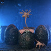 Neca Aliens - Caja de huevos alienígenas (40 aniversario) - Pack de 6 accesorios